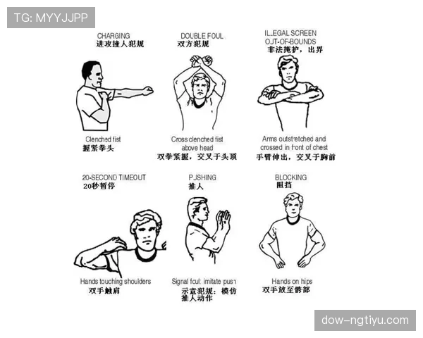 篮球裁判手势规则详解：违例与犯规的标准动作